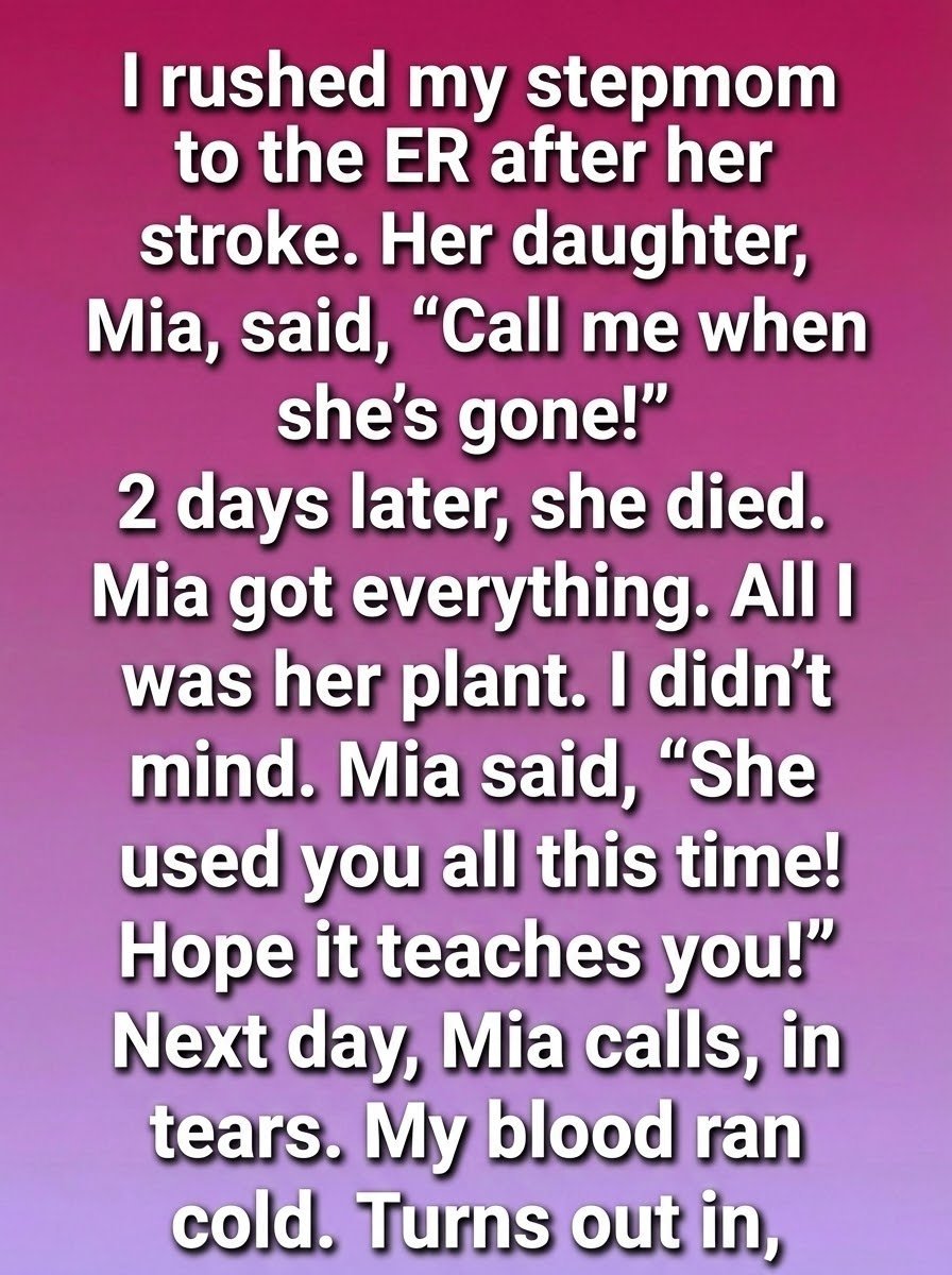 The Jade Plant’s Secret — A Story of Quiet Love, Misunderstood Intentions, and Unexpected Inheritance