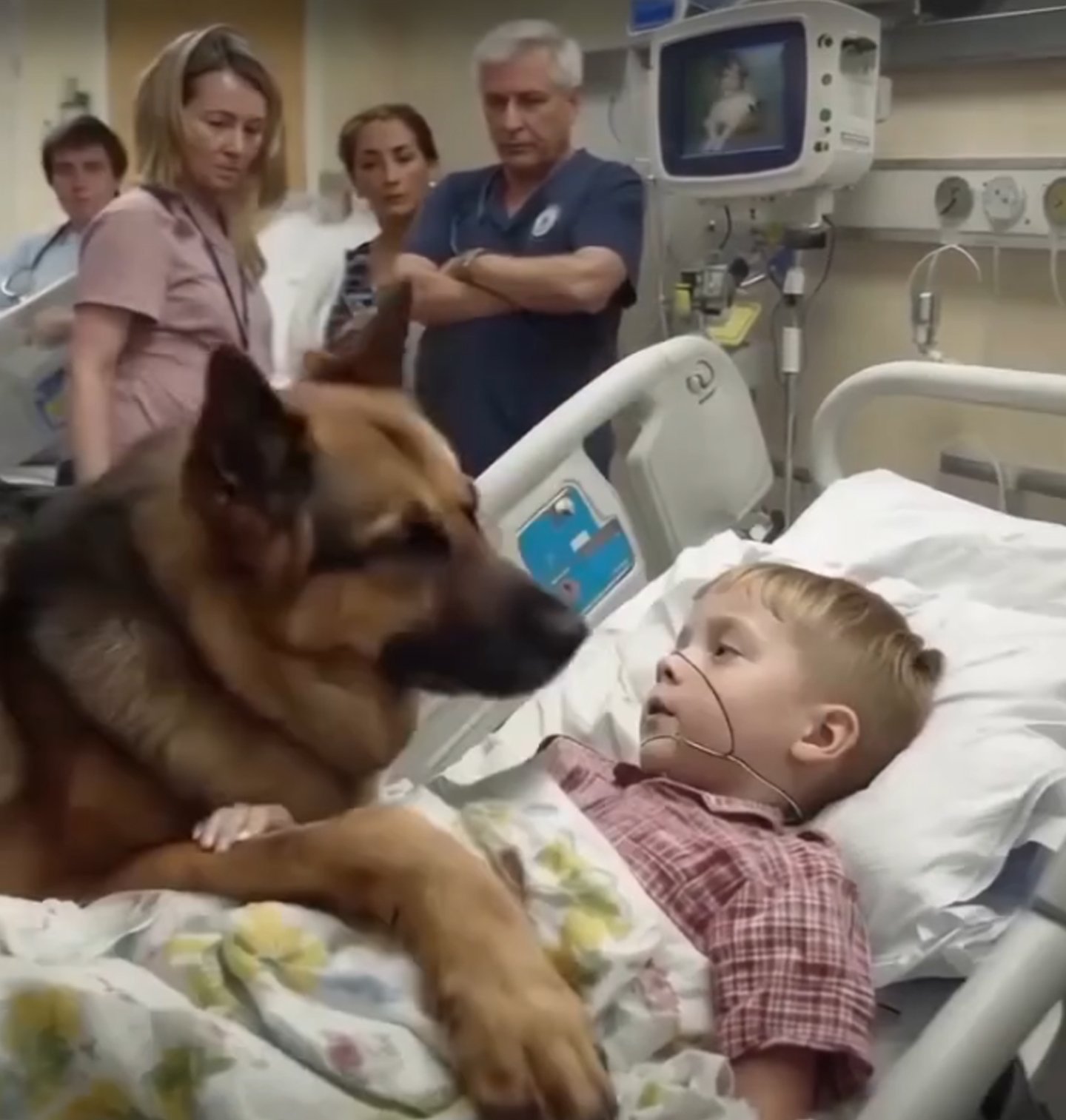 Heartwarming moment: Boy hugs his dog before surgery, what happens next shocks everyone