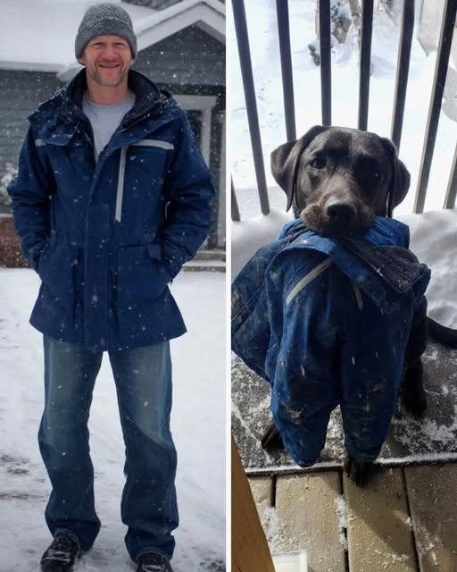 My Dog Found the Jacket My Husband Vanished in Years Ago — I Followed Him and Was Shocked by What I Discovered